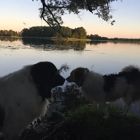 Siedlisko Blominko *