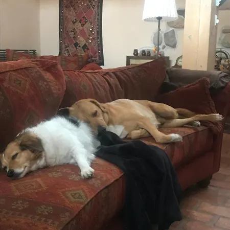 Siedlisko Błominko * Rzeck