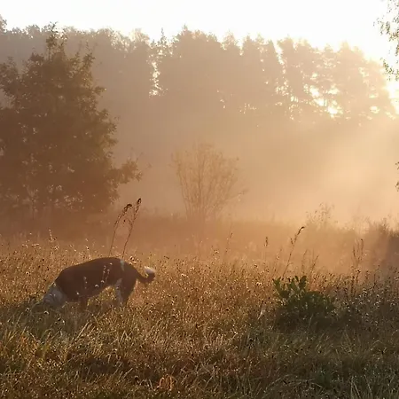 Alojamento de Turismo Rural Siedlisko Blominko