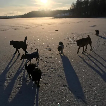 Siedlisko Błominko *