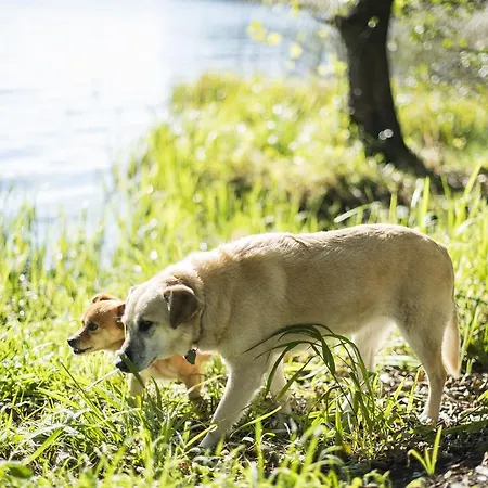 Alojamento de Turismo Rural Siedlisko Blominko *