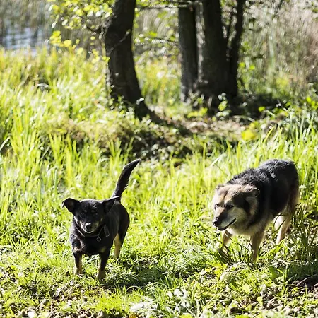 Gospodarstwo agroturystyczne Siedlisko Błominko Rzeck