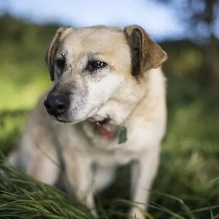 Siedlisko Blominko Alojamento de Turismo Rural Rzeck