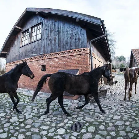 Alojamento de Turismo Rural Siedlisko Blominko