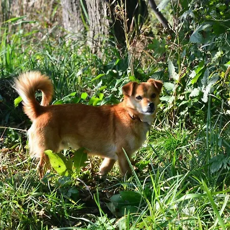 Siedlisko Błominko *